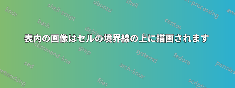 表内の画像はセルの境界線の上に描画されます