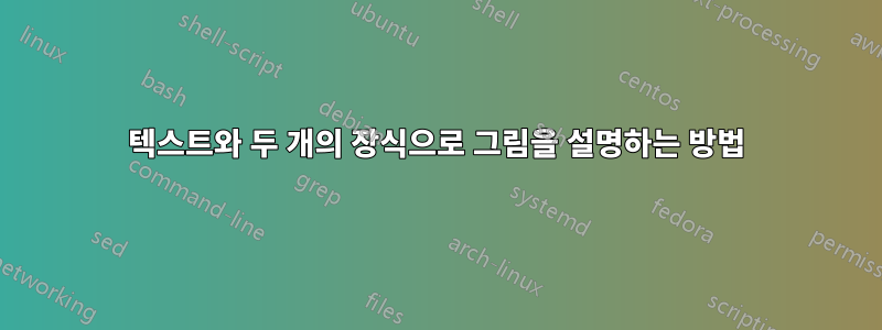 텍스트와 두 개의 장식으로 그림을 설명하는 방법