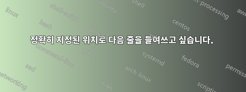 정확히 지정된 위치로 다음 줄을 들여쓰고 싶습니다.