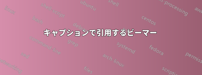 キャプションで引用するビーマー