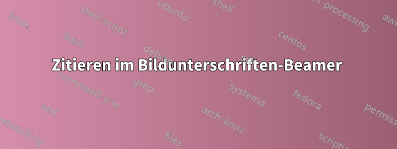 Zitieren im Bildunterschriften-Beamer