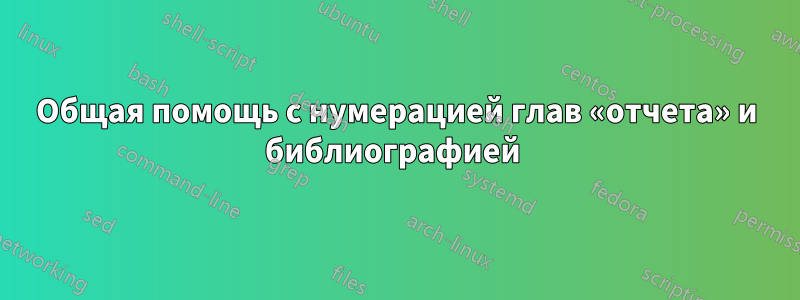 Общая помощь с нумерацией глав «отчета» и библиографией 