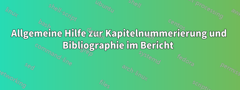 Allgemeine Hilfe zur Kapitelnummerierung und Bibliographie im Bericht 