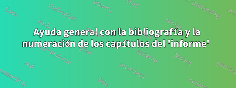 Ayuda general con la bibliografía y la numeración de los capítulos del 'informe' 