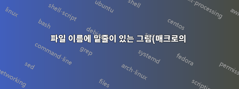 파일 이름에 밑줄이 있는 그림(매크로의) 포함