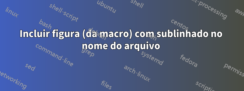 Incluir figura (da macro) com sublinhado no nome do arquivo