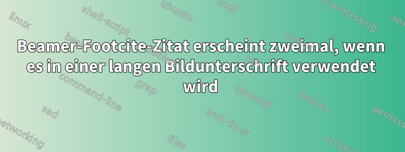 Beamer-Footcite-Zitat erscheint zweimal, wenn es in einer langen Bildunterschrift verwendet wird