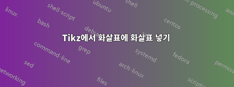 Tikz에서 화살표에 화살표 넣기