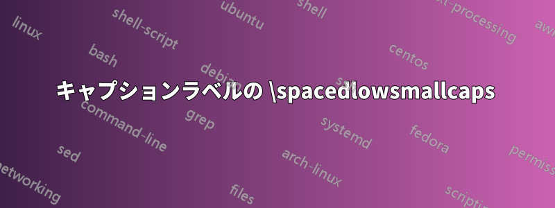 キャプションラベルの \spacedlowsmallcaps