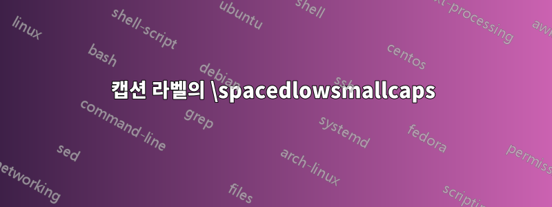 캡션 라벨의 \spacedlowsmallcaps