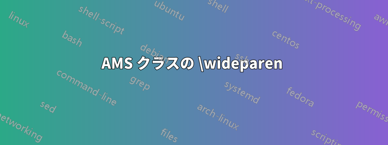 AMS クラスの \wideparen