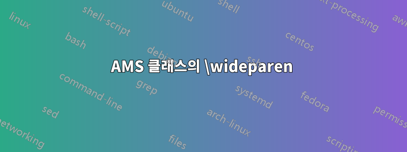 AMS 클래스의 \wideparen