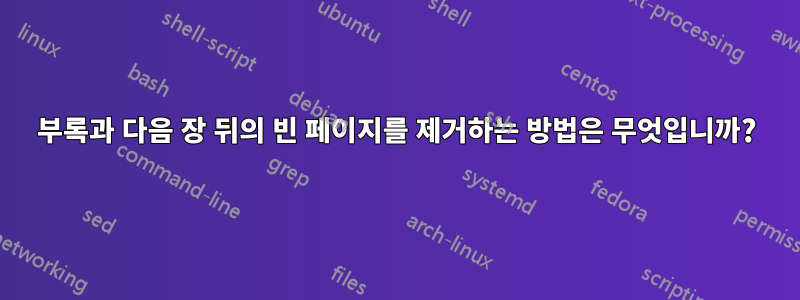 부록과 다음 장 뒤의 빈 페이지를 제거하는 방법은 무엇입니까?