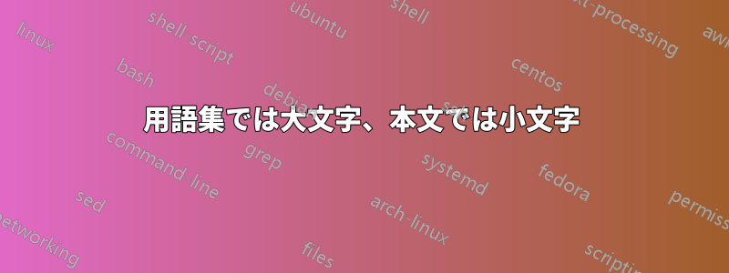 用語集では大文字、本文では小文字