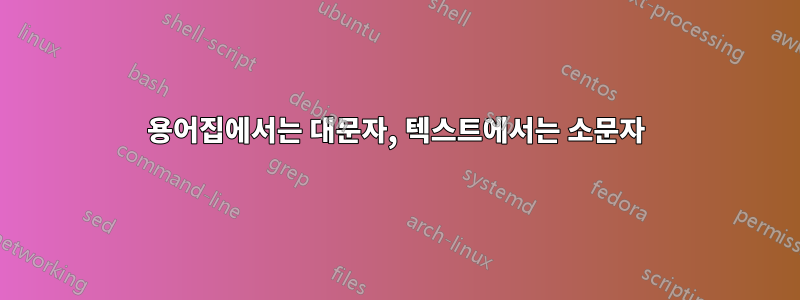 용어집에서는 대문자, 텍스트에서는 소문자