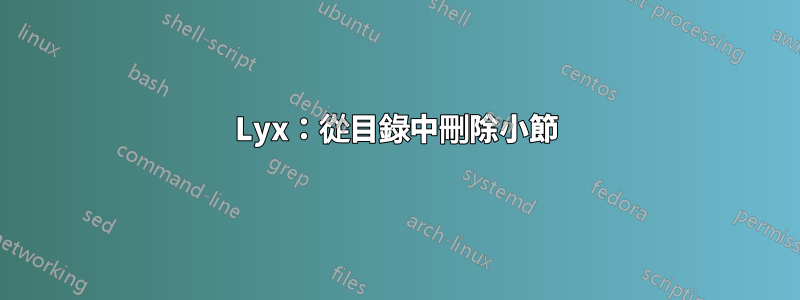 Lyx：從目錄中刪除小節