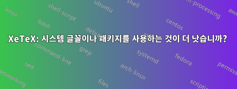 XeTeX: 시스템 글꼴이나 패키지를 사용하는 것이 더 낫습니까?