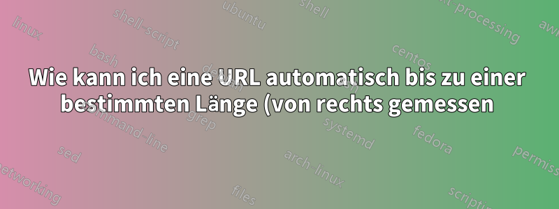 Wie kann ich eine URL automatisch bis zu einer bestimmten Länge (von rechts gemessen) kürzen?