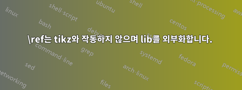 \ref는 tikz와 작동하지 않으며 lib를 외부화합니다.