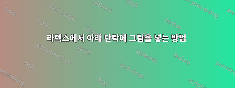 라텍스에서 아래 단락에 그림을 넣는 방법