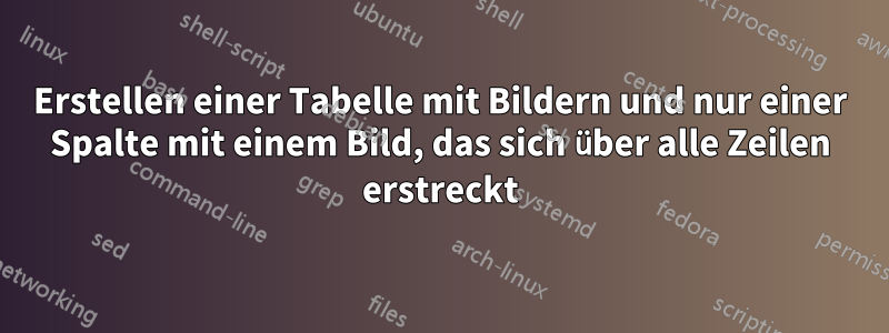 Erstellen einer Tabelle mit Bildern und nur einer Spalte mit einem Bild, das sich über alle Zeilen erstreckt