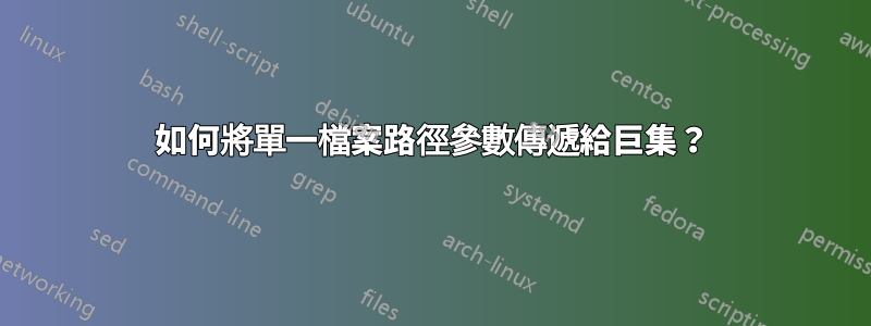 如何將單一檔案路徑參數傳遞給巨集？