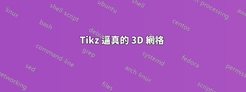 Tikz 逼真的 3D 網格