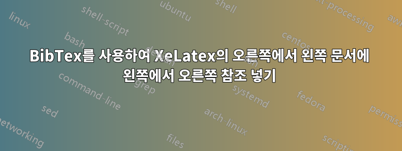 BibTex를 사용하여 XeLatex의 오른쪽에서 왼쪽 문서에 왼쪽에서 오른쪽 참조 넣기