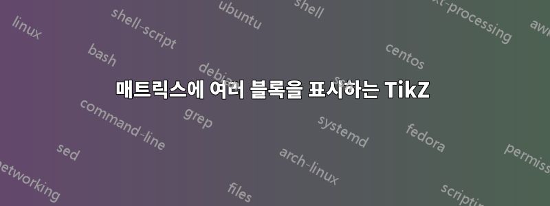 매트릭스에 여러 블록을 표시하는 TikZ