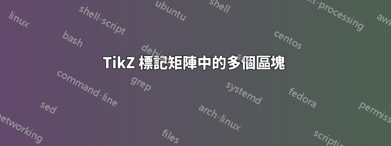 TikZ 標記矩陣中的多個區塊
