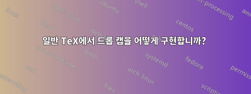 일반 TeX에서 드롭 캡을 어떻게 구현합니까?