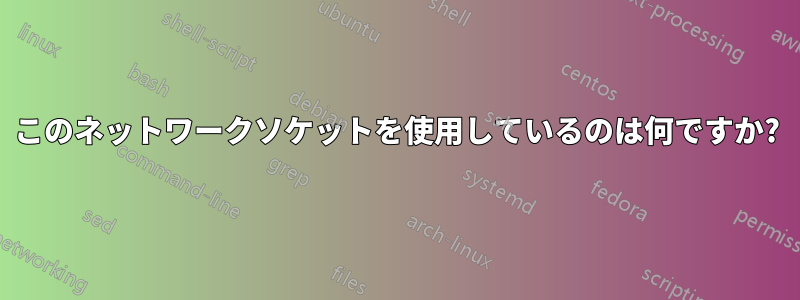 このネットワークソケットを使用しているのは何ですか?