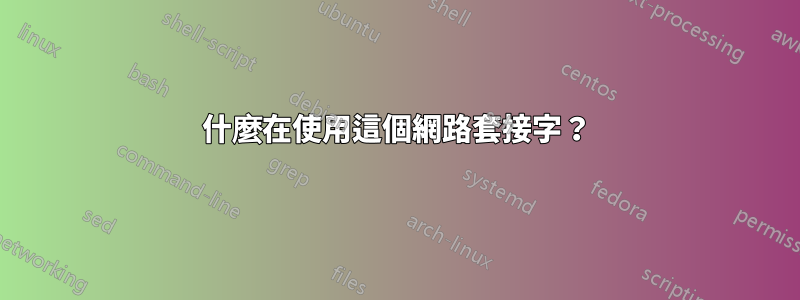 什麼在使用這個網路套接字?