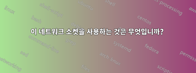이 네트워크 소켓을 사용하는 것은 무엇입니까?