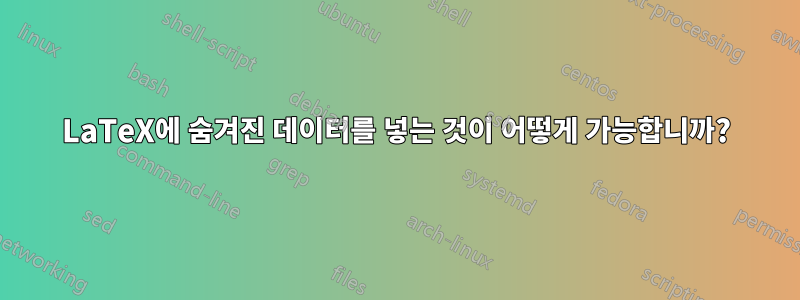LaTeX에 숨겨진 데이터를 넣는 것이 어떻게 가능합니까?
