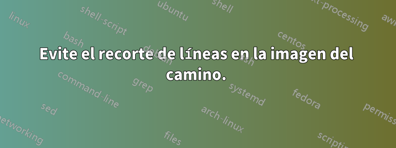 Evite el recorte de líneas en la imagen del camino.