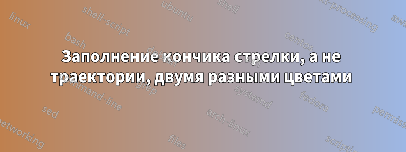Заполнение кончика стрелки, а не траектории, двумя разными цветами