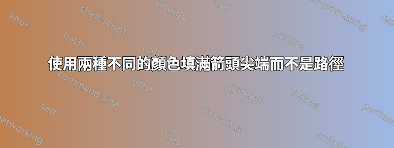 使用兩種不同的顏色填滿箭頭尖端而不是路徑
