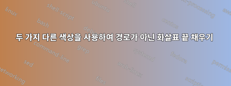 두 가지 다른 색상을 사용하여 경로가 아닌 화살표 끝 채우기