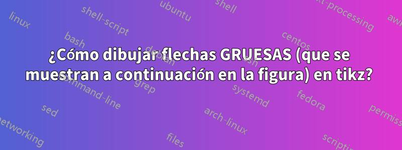 ¿Cómo dibujar flechas GRUESAS (que se muestran a continuación en la figura) en tikz?