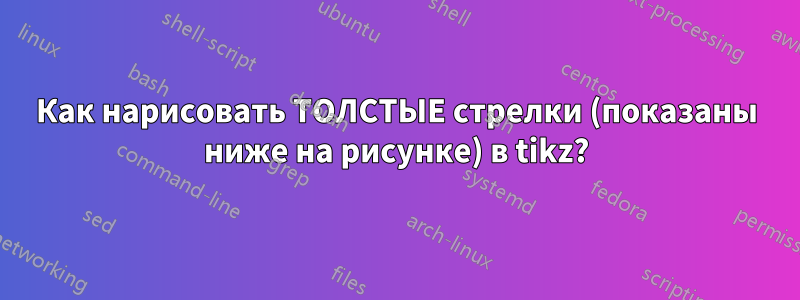 Как нарисовать ТОЛСТЫЕ стрелки (показаны ниже на рисунке) в tikz?