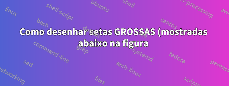 Como desenhar setas GROSSAS (mostradas abaixo na figura) no tikz?