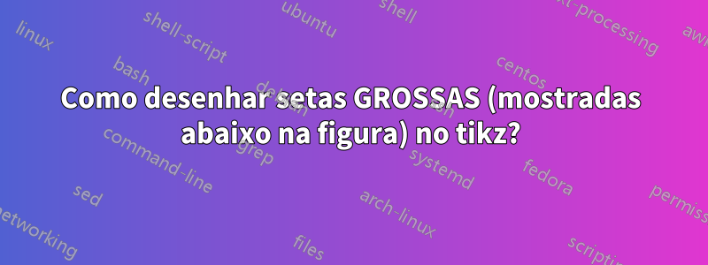 Como desenhar setas GROSSAS (mostradas abaixo na figura) no tikz?
