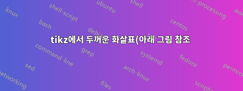 tikz에서 두꺼운 화살표(아래 그림 참조)를 그리는 방법은 무엇입니까?