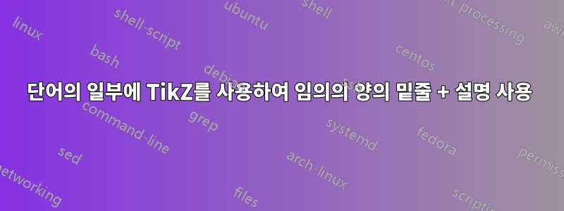 단어의 일부에 TikZ를 사용하여 임의의 양의 밑줄 + 설명 사용