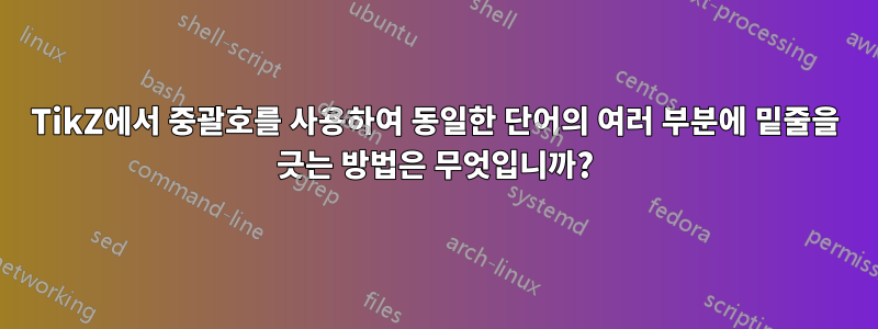 TikZ에서 중괄호를 사용하여 동일한 단어의 여러 부분에 밑줄을 긋는 방법은 무엇입니까?