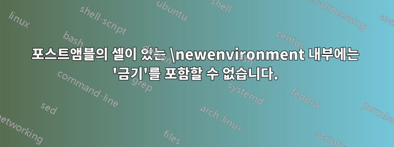 포스트앰블의 셀이 있는 \newenvironment 내부에는 '금기'를 포함할 수 없습니다.