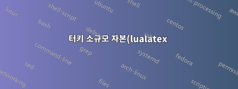 터키 소규모 자본(lualatex)을 어떻게 개선할 수 있습니까?