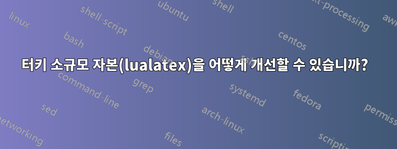 터키 소규모 자본(lualatex)을 어떻게 개선할 수 있습니까? 