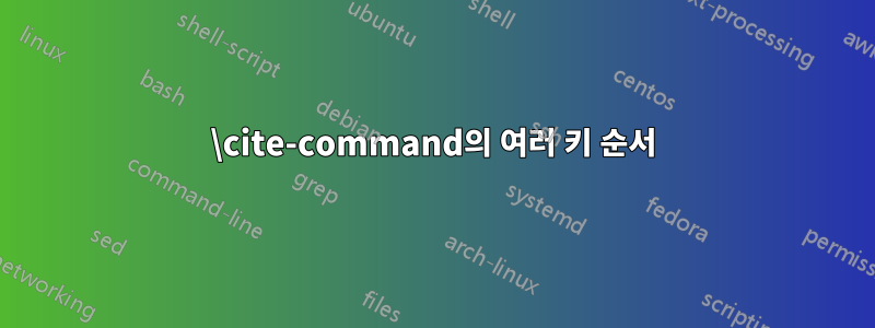 \cite-command의 여러 키 순서